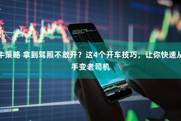 投牛策略 拿到驾照不敢开？这4个开车技巧，让你快速从新手变老司机 